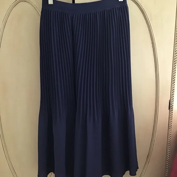 NWOT J Crew Pleated Skirt Fully Lined - Picture 2 of 4